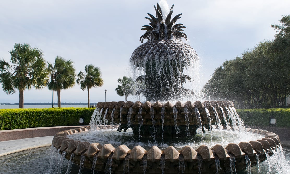 Fountain and palm trees in Charleston, South Carolina