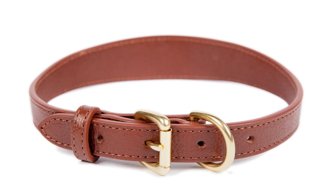 Lotuff leather dog collar in chestnut