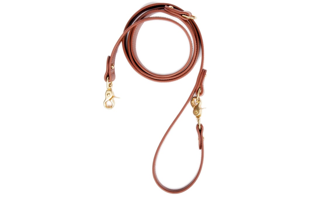 Lotuff leather dog leash in chestnut