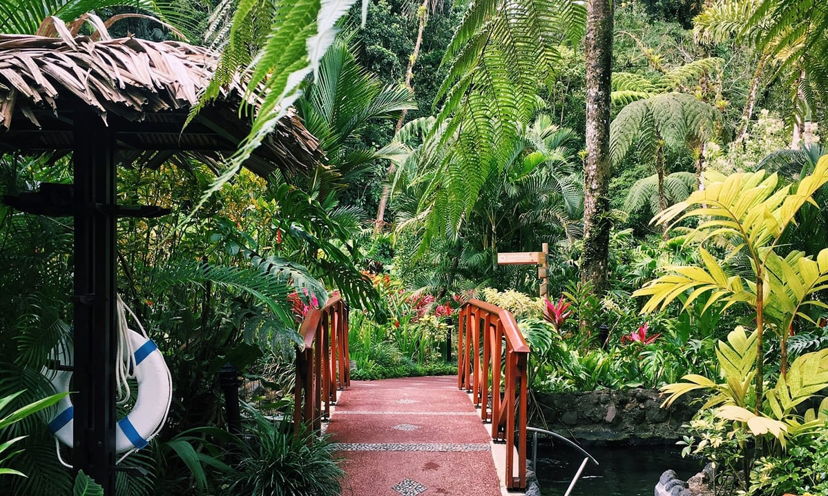 Greenery at the Tabacón Thermal Resort in Costa Rica