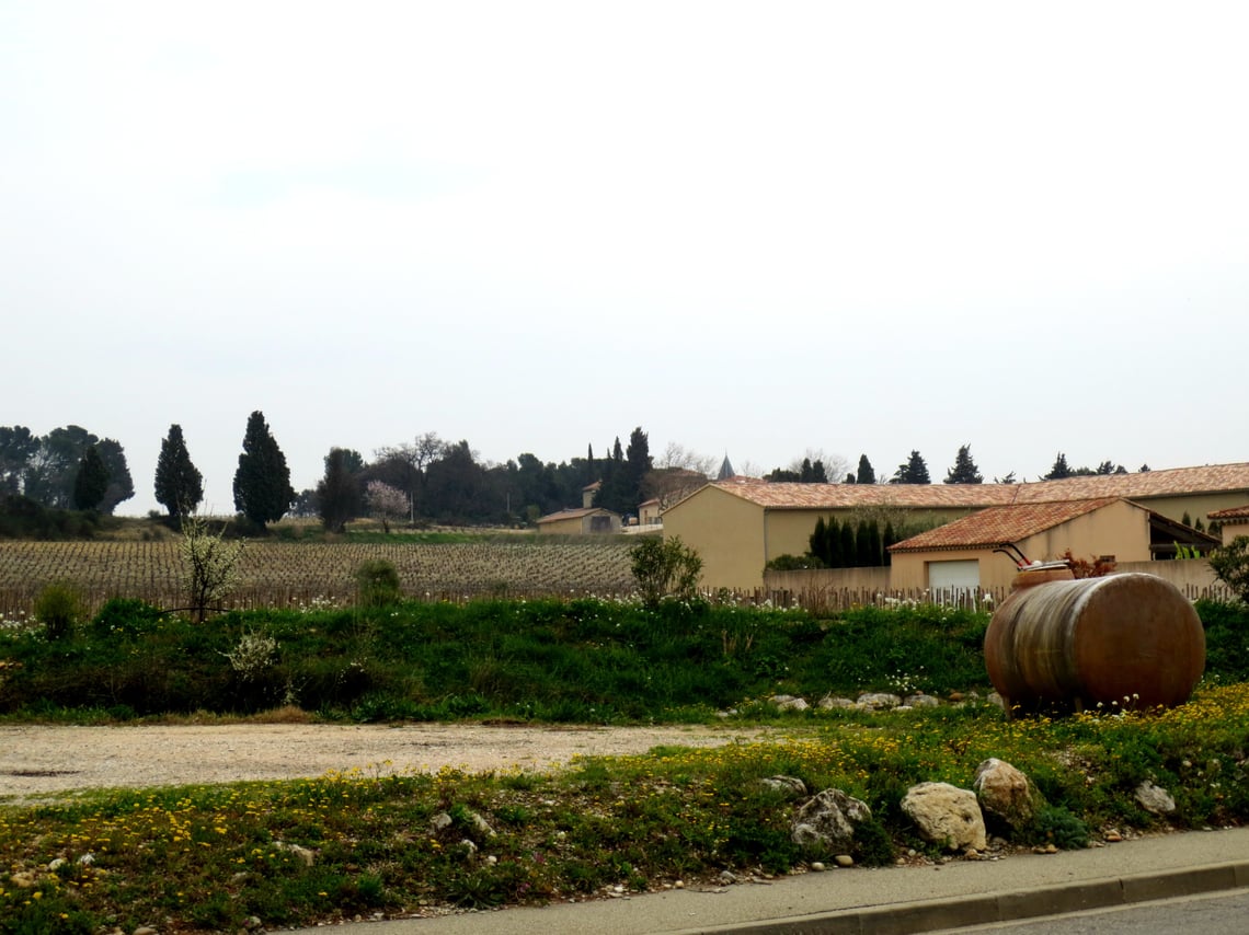 Vineyard views at Ogier Vineyards, Châteauneuf-du-Pape