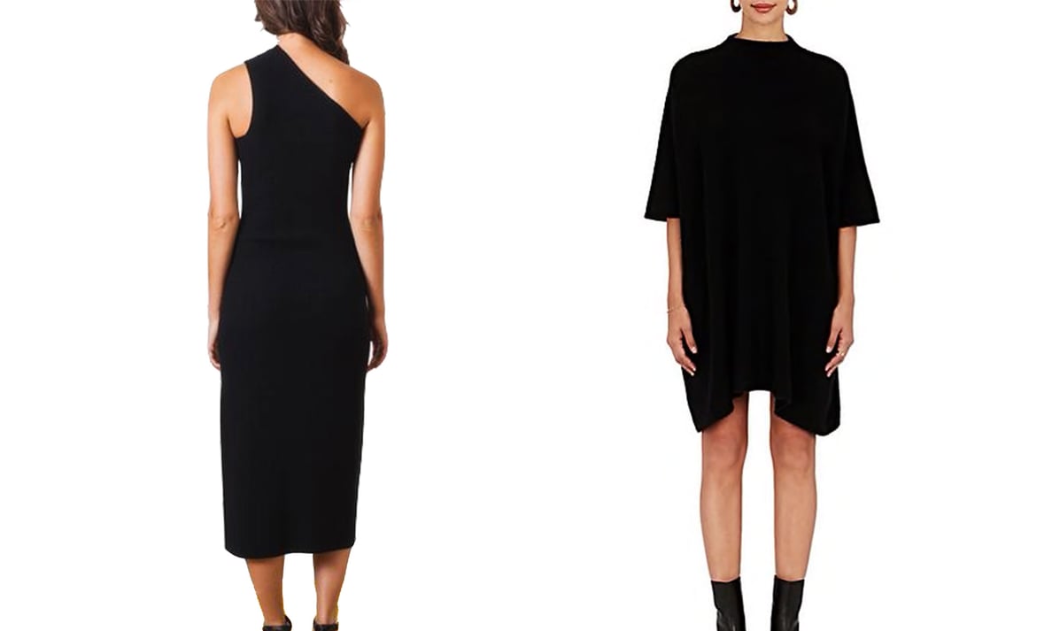 Shaina Mote Onyx Sling Dress and The Elder Statesman Guatemala Cashmere Sweaterdress