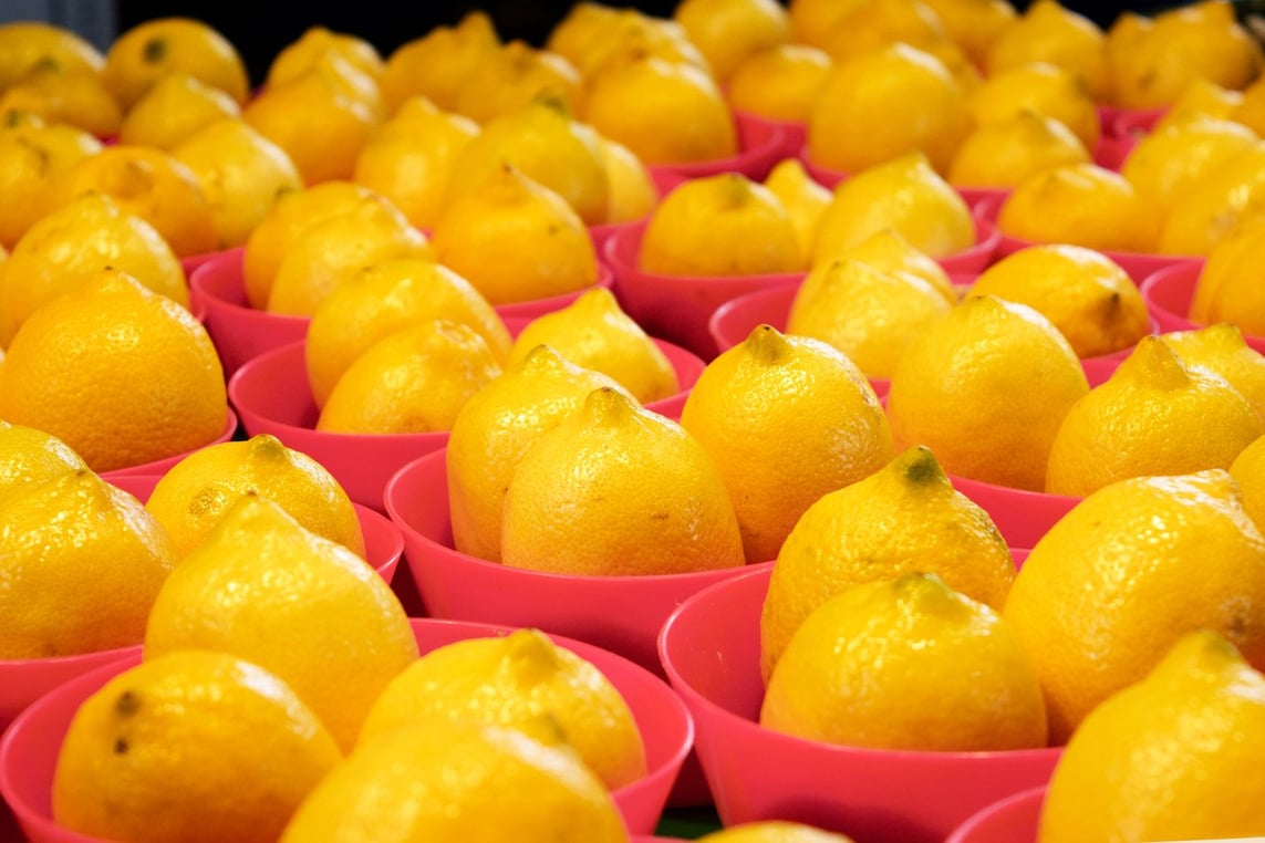 Lemons at the Marché Jean-Talon in Montréal, Quebec, Canada