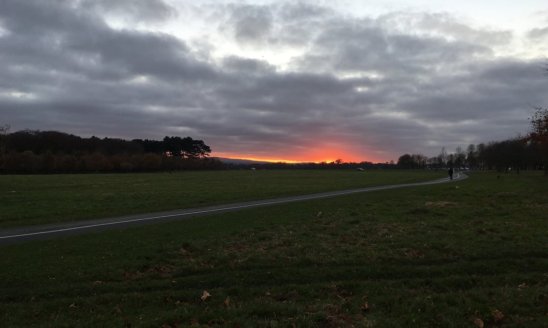 Sunset over Phoenix Park in Dublin, Ireland