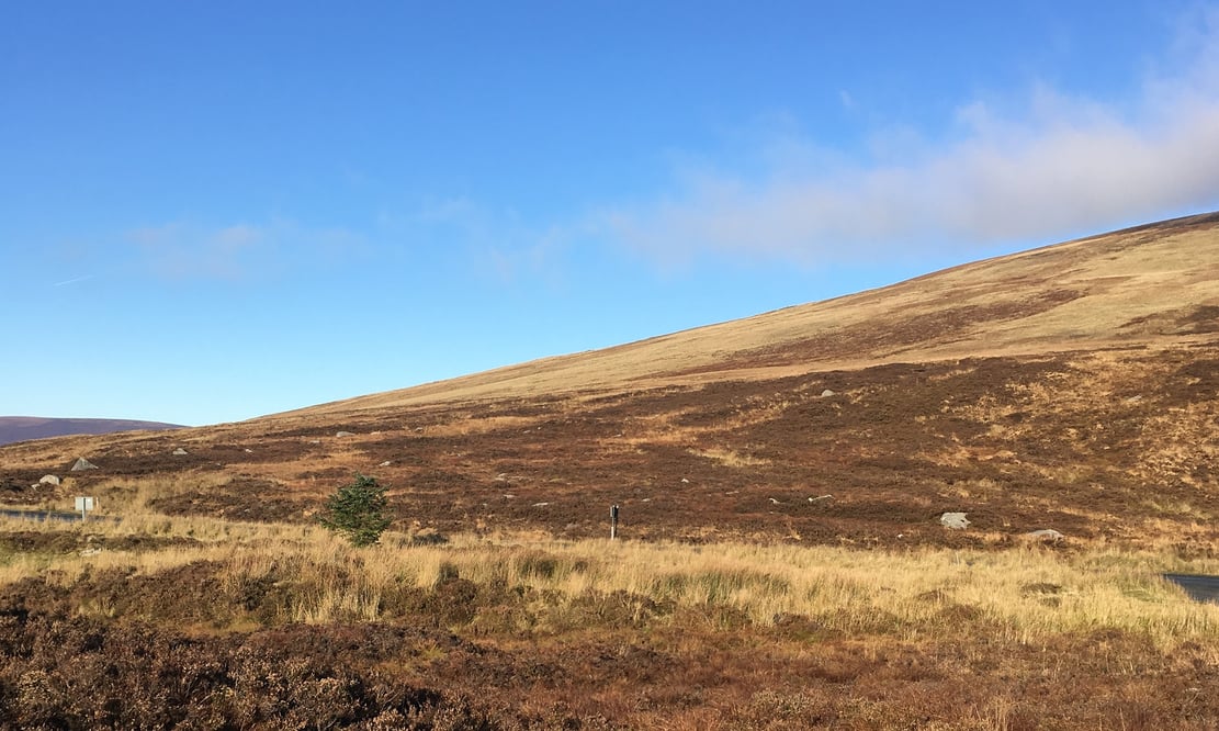 Landscape in Glendalough, Ireland