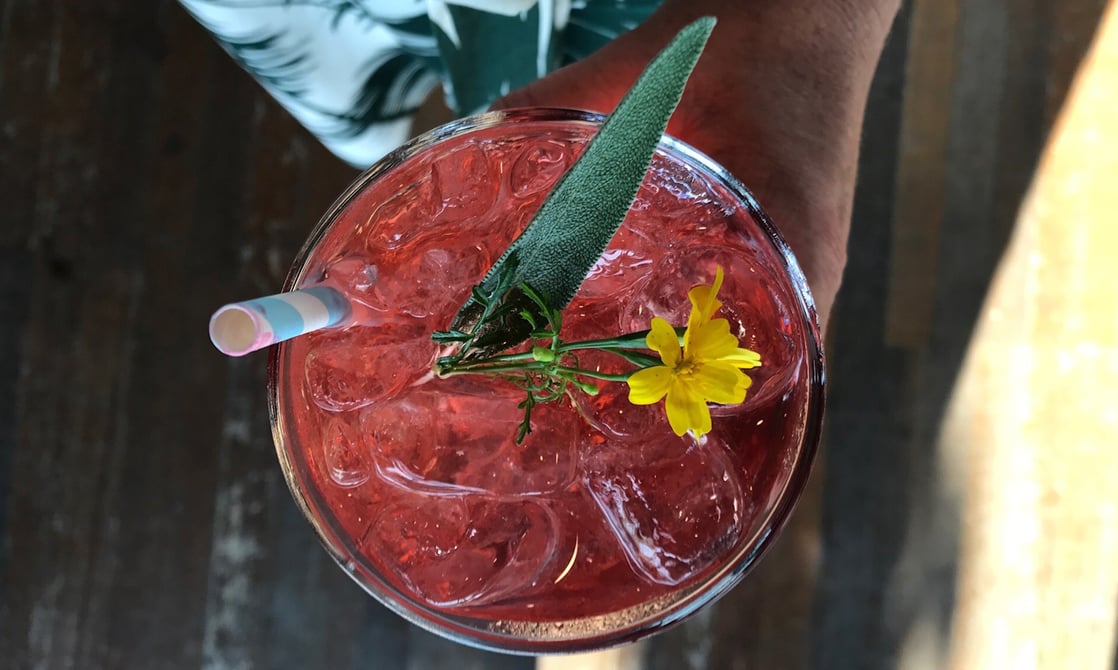 "The Saint", another of Willa's original Little Bitte cocktails "The Saint", another of Willa's original Little Bitte cocktails
