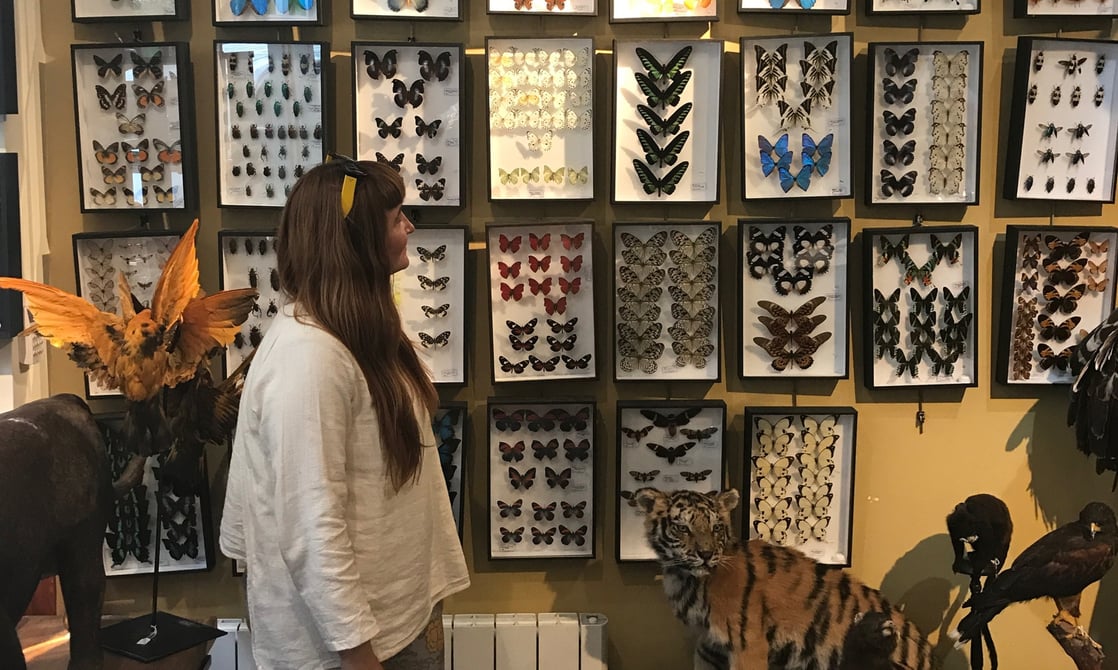 Admiring some butterfies at Paris's Design et Nature taxidermy shop