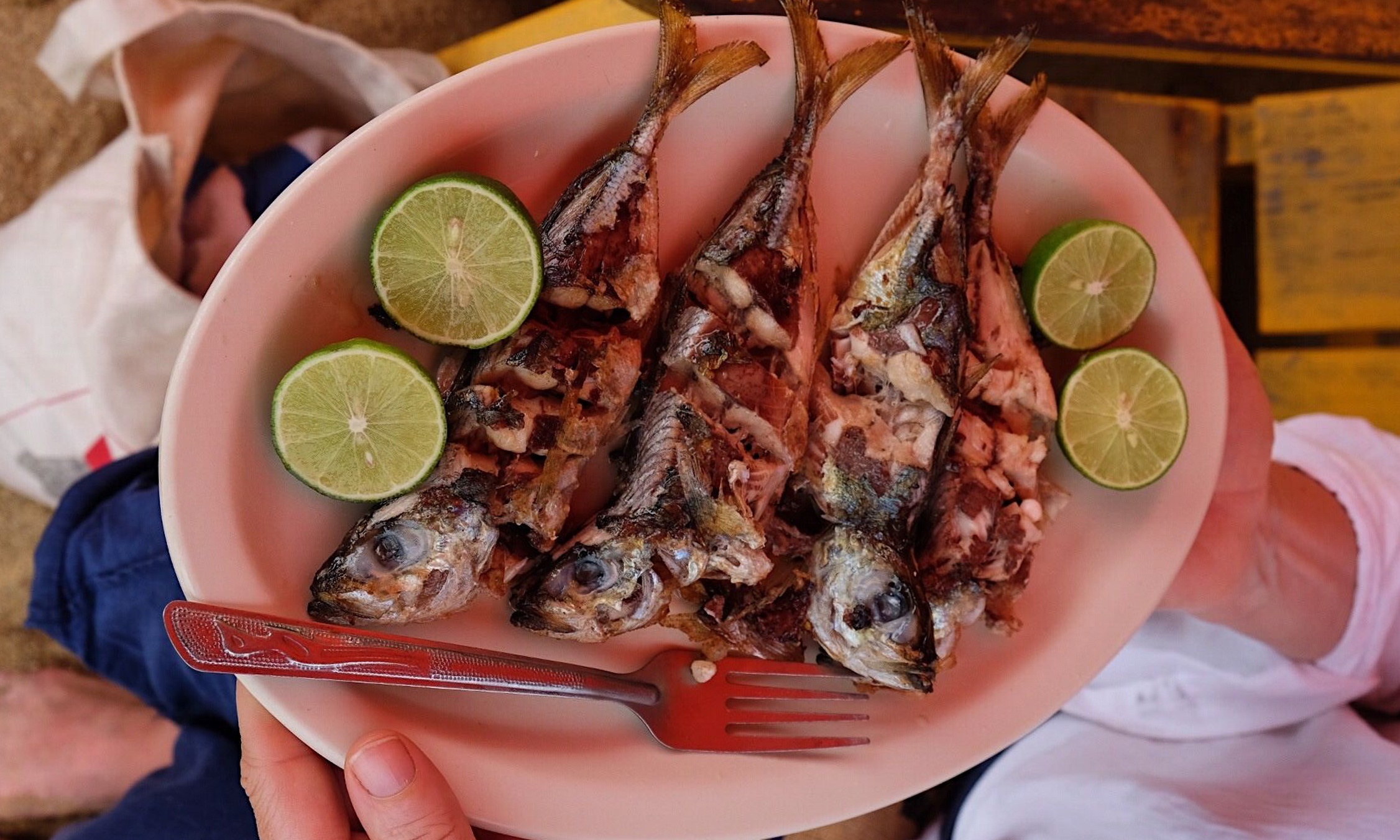 Sardines, fresh off the boat